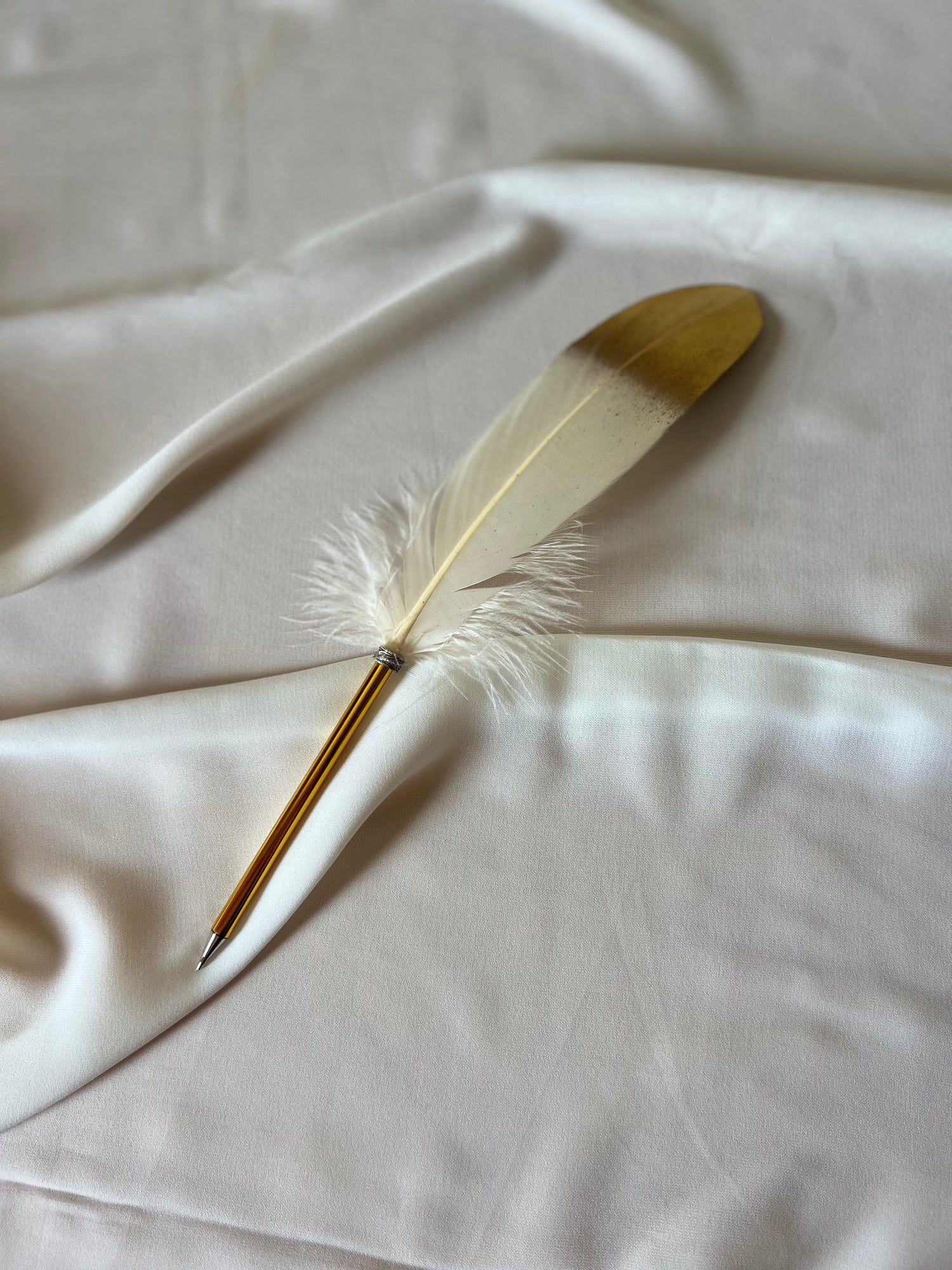 LA PLUME – L’ENCRE DES CŒURS